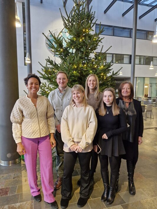 Group photo of 6 people in front of a christmas tree